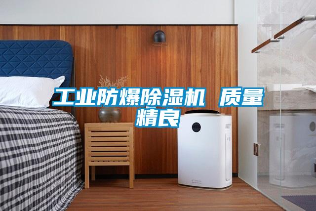工業(yè)防爆除濕機 質量精良