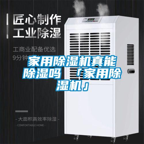 家用除濕機真能除濕嗎 「家用除濕機」