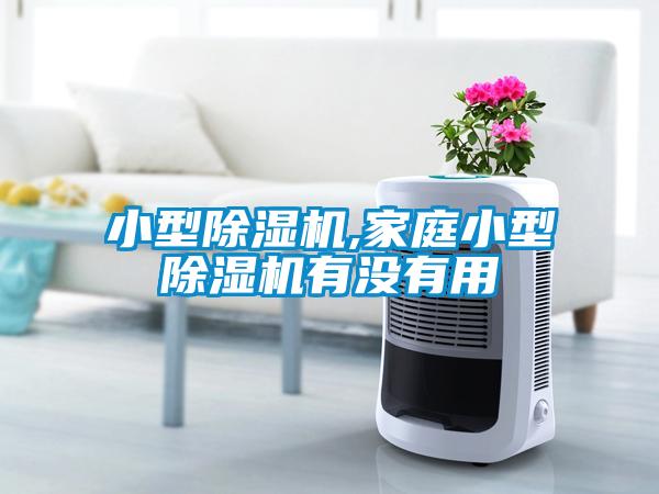 小型除濕機(jī),家庭小型除濕機(jī)有沒(méi)有用