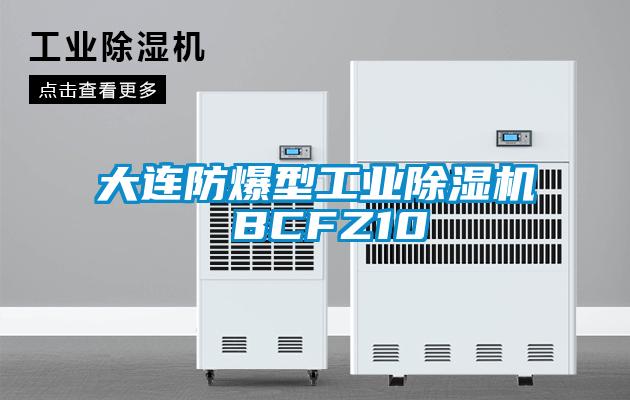 大連防爆型工業除濕機 BCFZ10