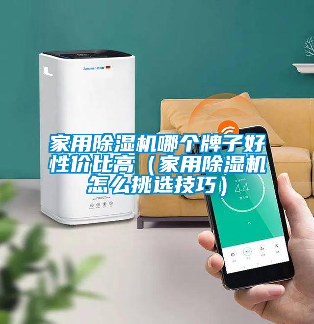 家用除濕機(jī)哪個(gè)牌子好性價(jià)比高（家用除濕機(jī)怎么挑選技巧）
