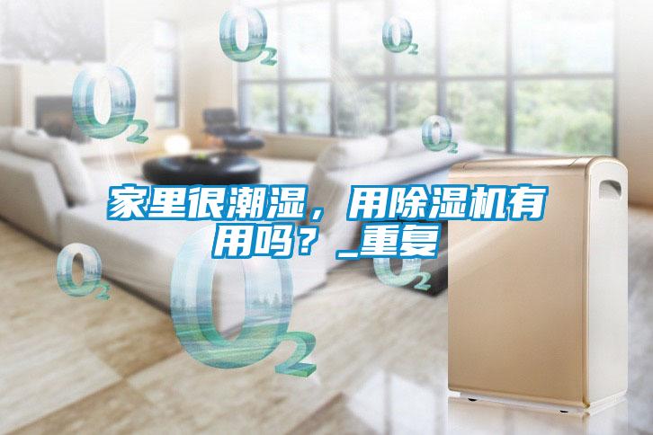 家里很潮濕，用除濕機有用嗎？_重復