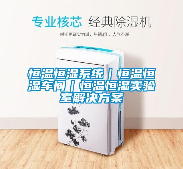 恒溫恒濕系統(tǒng)｜恒溫恒濕車間｜恒溫恒濕實驗室解決方案