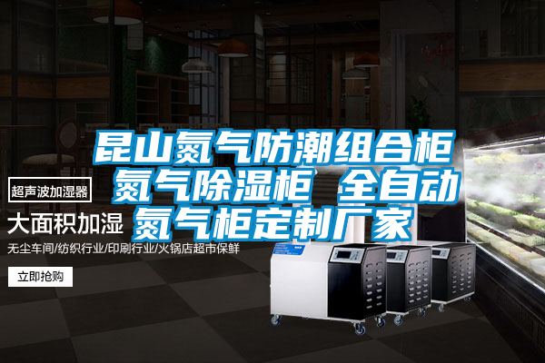 昆山氮?dú)夥莱苯M合柜 氮?dú)獬凉窆?全自動(dòng)氮?dú)夤穸ㄖ茝S家
