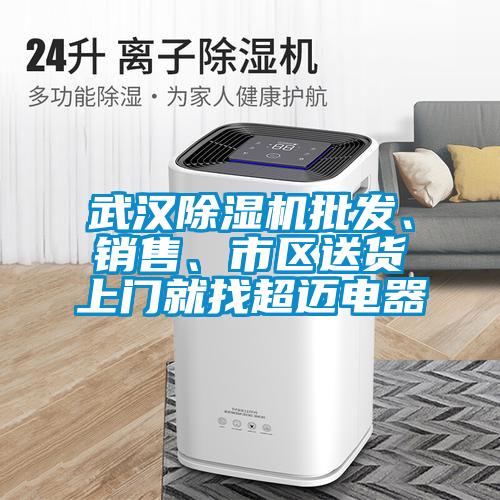 武漢除濕機批發、銷售、市區送貨上門就找超邁電器