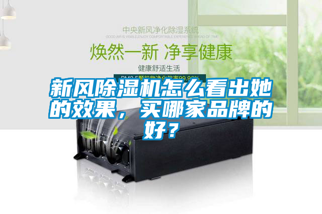 新風(fēng)除濕機(jī)怎么看出她的效果，買哪家品牌的好？