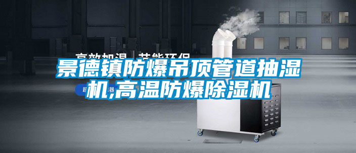 景德鎮防爆吊頂管道抽濕機,高溫防爆除濕機