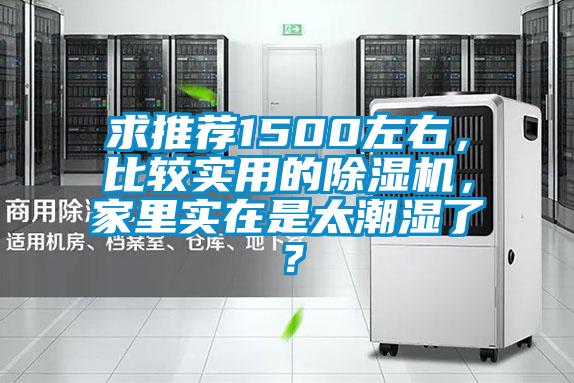 求推薦1500左右，比較實用的除濕機，家里實在是太潮濕了？