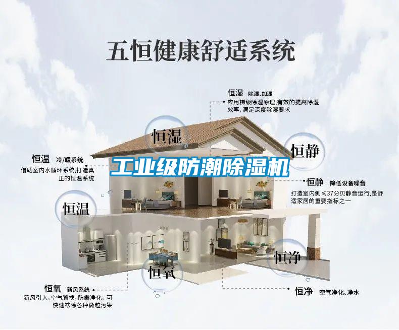 工業(yè)級(jí)防潮除濕機(jī)