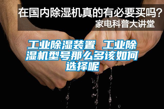 工業除濕裝置 工業除濕機型號那么多該如何選擇呢
