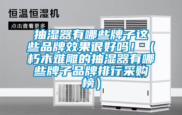 抽濕器有哪些牌子這些品牌效果很好嗎！（朽木難雕的抽濕器有哪些牌子品牌排行采購榜）
