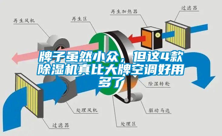 牌子雖然小眾，但這4款除濕機真比大牌空調(diào)好用多了