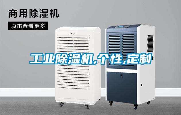 工業除濕機,個性,定制