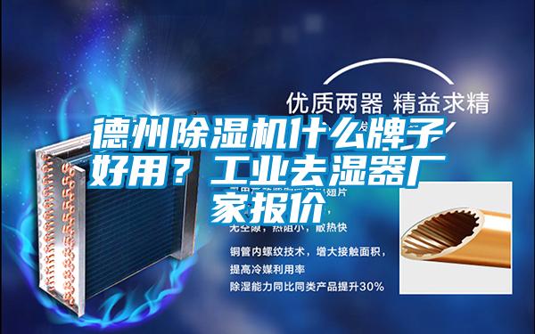 德州除濕機什么牌子好用？工業(yè)去濕器廠家報價