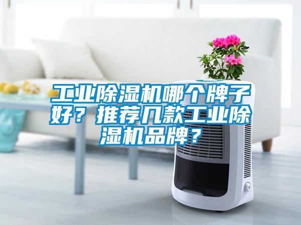工業(yè)除濕機哪個牌子好？推薦幾款工業(yè)除濕機品牌？