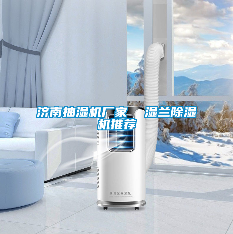濟南抽濕機廠家  濕蘭除濕機推薦