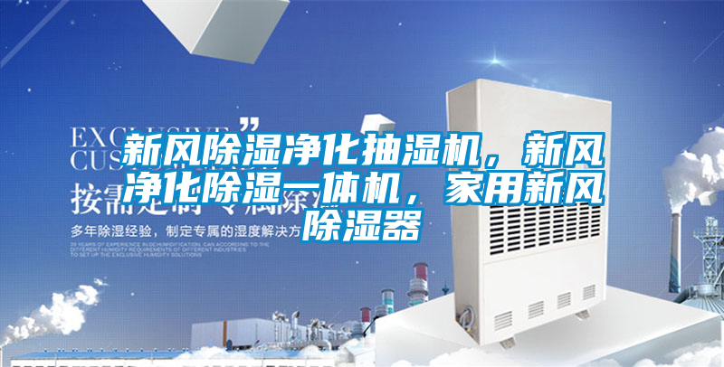 新風除濕凈化抽濕機，新風凈化除濕一體機，家用新風除濕器