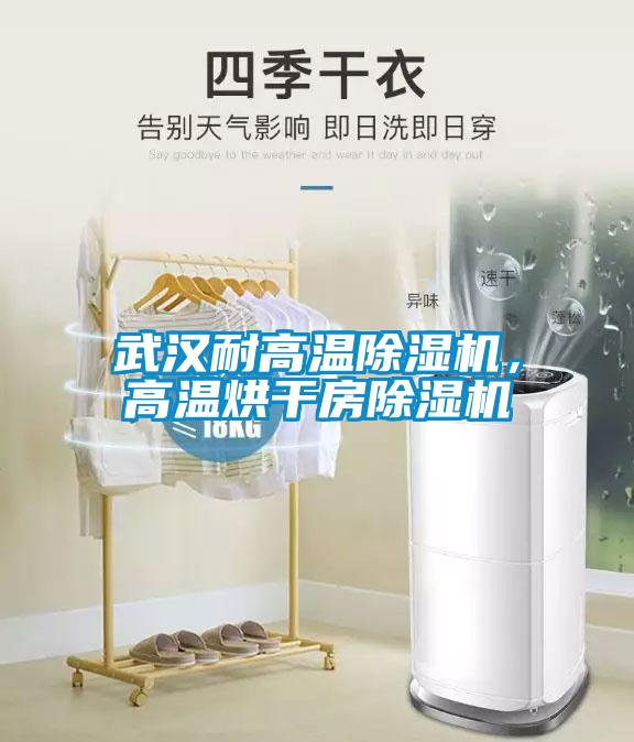 武漢耐高溫除濕機，高溫烘干房除濕機