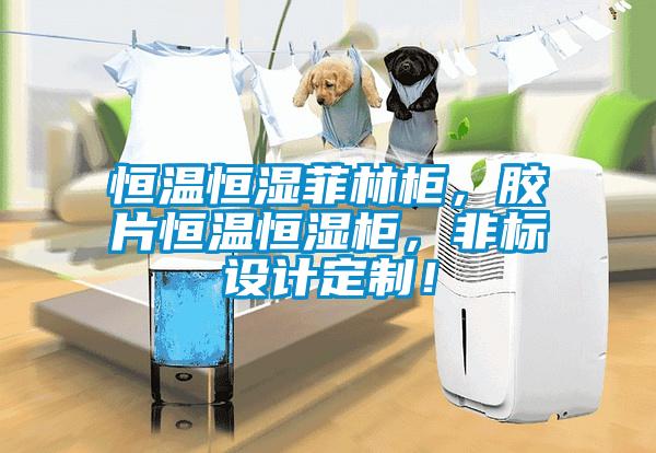 恒溫恒濕菲林柜，膠片恒溫恒濕柜，非標設計定制！