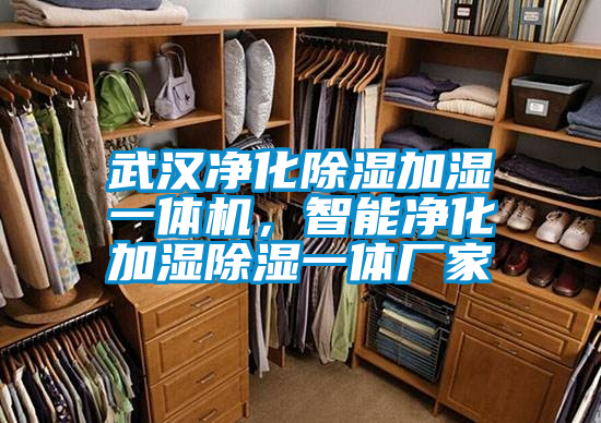 武漢凈化除濕加濕一體機(jī)，智能凈化加濕除濕一體廠家