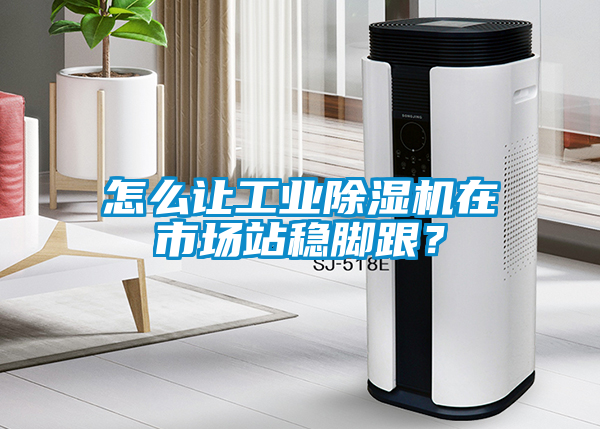怎么讓工業除濕機在市場站穩腳跟？