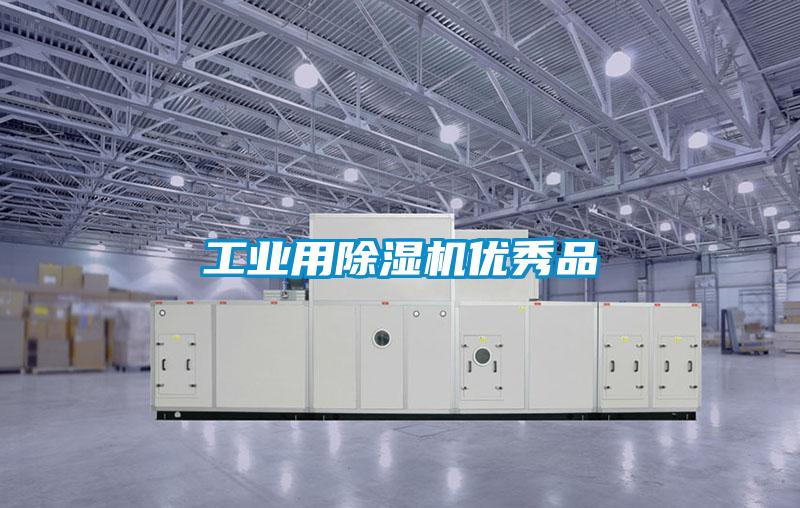 工業用除濕機優秀品