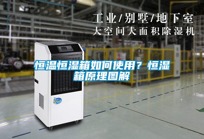 恒溫恒濕箱如何使用？恒濕箱原理圖解
