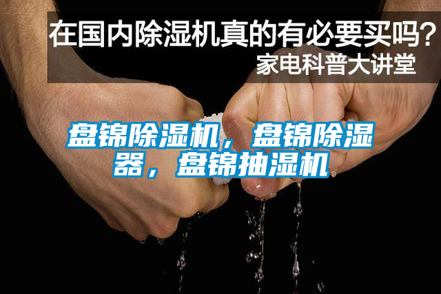 盤錦除濕機，盤錦除濕器，盤錦抽濕機