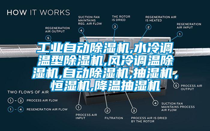工業自動除濕機,水冷調溫型除濕機,風冷調溫除濕機,自動除濕機,抽濕機，恒濕機,降溫抽濕機