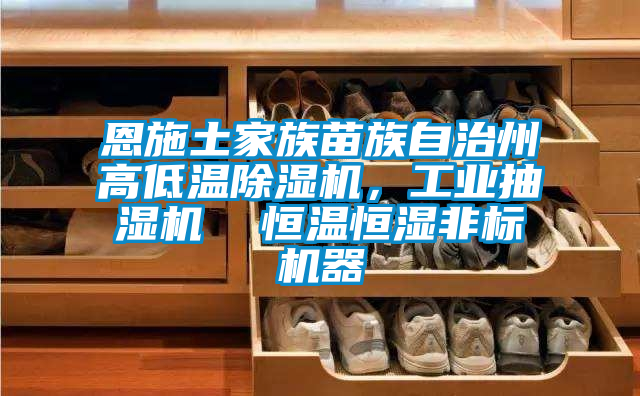 恩施土家族苗族自治州高低溫除濕機，工業抽濕機  恒溫恒濕非標機器