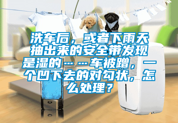 洗車后，或者下雨天抽出來的安全帶發現是濕的……車被蹭，一個凹下去的對勾狀，怎么處理？
