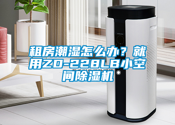 租房潮濕怎么辦？就用ZD-228LB小空間除濕機
