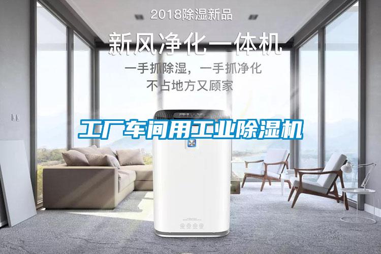 工廠車間用工業除濕機