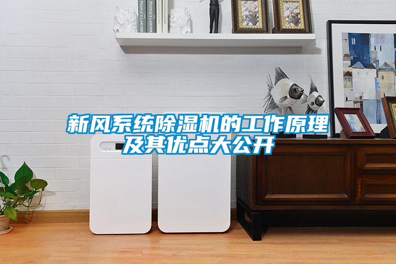 新風系統除濕機的工作原理及其優(yōu)點大公開