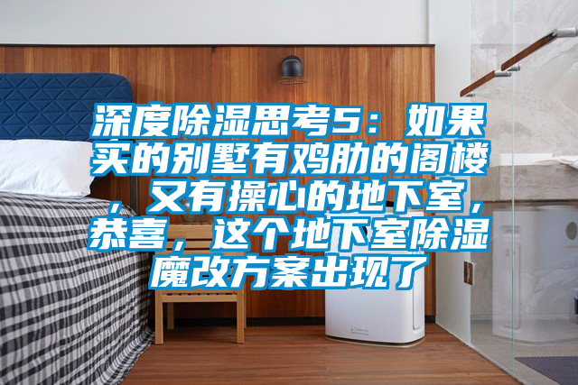 深度除濕思考5：如果買的別墅有雞肋的閣樓，又有操心的地下室，恭喜，這個地下室除濕魔改方案出現了