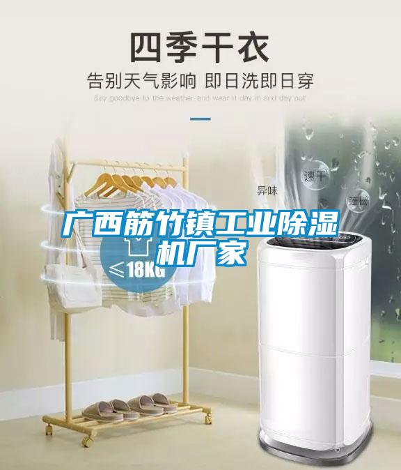 廣西筋竹鎮工業除濕機廠家
