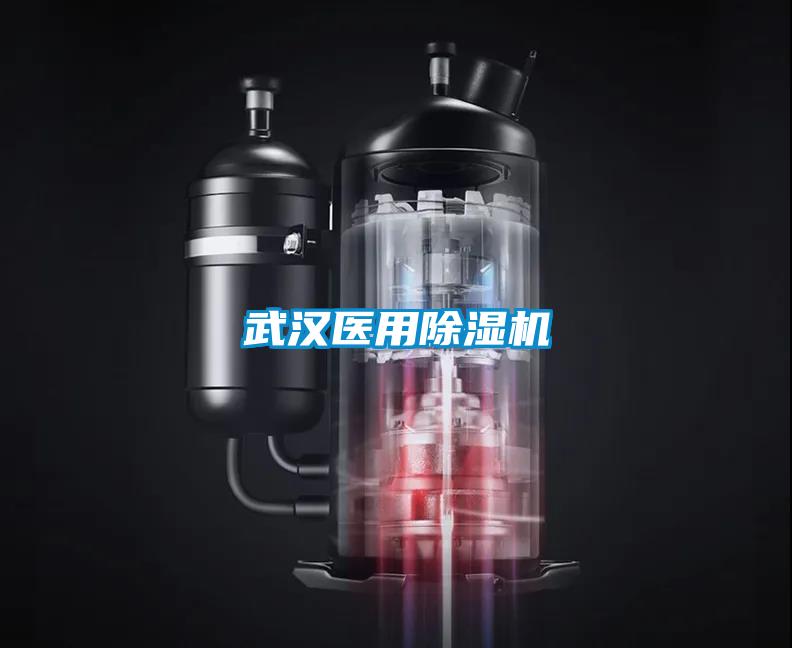 武漢醫用除濕機