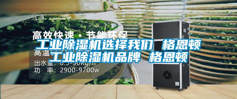工業(yè)除濕機選擇我們 格恩頓工業(yè)除濕機品牌 格恩頓