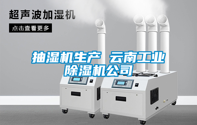 抽濕機生產 云南工業除濕機公司