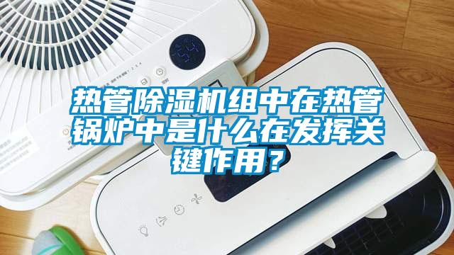 熱管除濕機組中在熱管鍋爐中是什么在發(fā)揮關鍵作用？