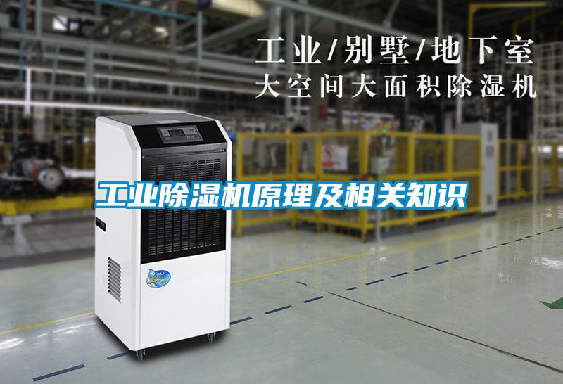 工業(yè)除濕機原理及相關(guān)知識