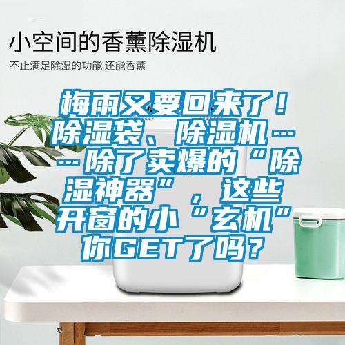 梅雨又要回來了！除濕袋、除濕機……除了賣爆的“除濕神器”，這些開窗的小“玄機”你GET了嗎？
