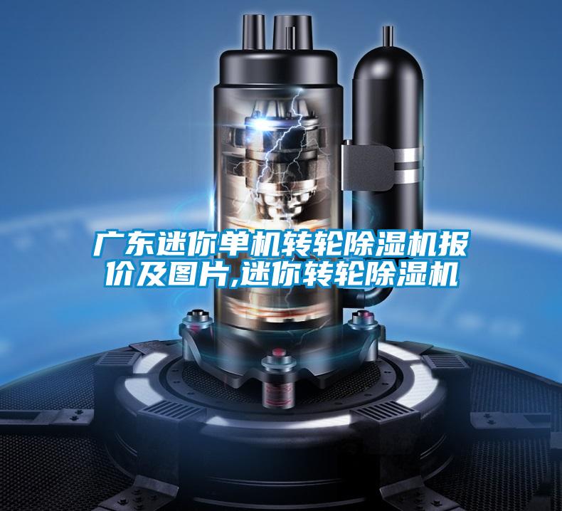 廣東迷你單機轉(zhuǎn)輪除濕機報價及圖片,迷你轉(zhuǎn)輪除濕機