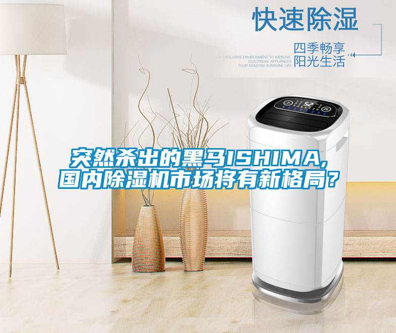 突然殺出的黑馬ISHIMA,國內除濕機市場將有新格局？