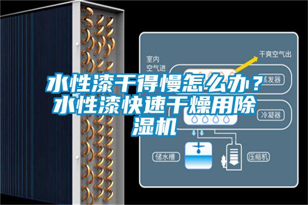水性漆干得慢怎么辦？水性漆快速干燥用除濕機