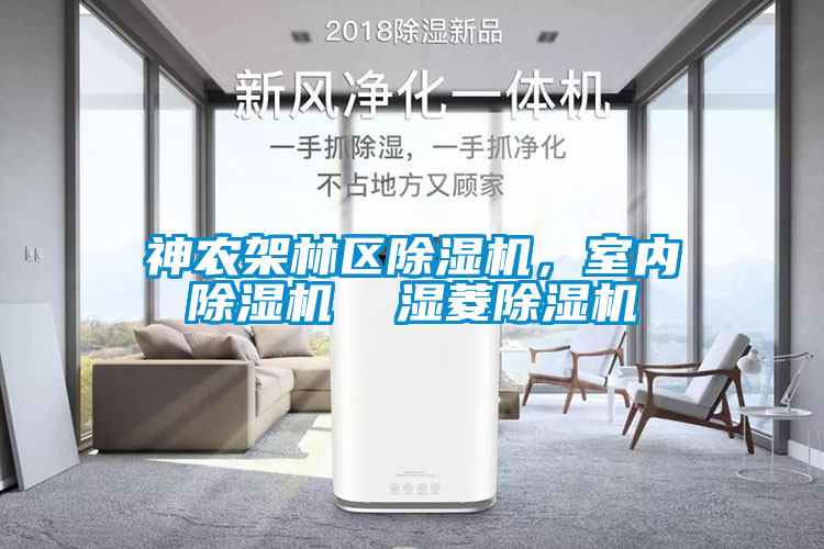 神農(nóng)架林區(qū)除濕機，室內(nèi)除濕機  濕菱除濕機
