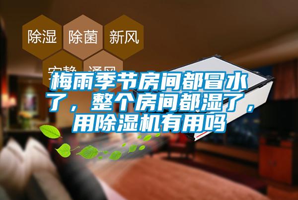 梅雨季節(jié)房間都冒水了，整個(gè)房間都濕了，用除濕機(jī)有用嗎