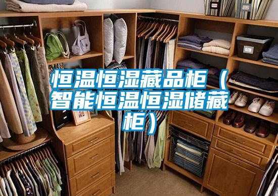 恒溫恒濕藏品柜（智能恒溫恒濕儲(chǔ)藏柜）