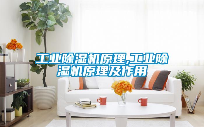 工業(yè)除濕機(jī)原理,工業(yè)除濕機(jī)原理及作用