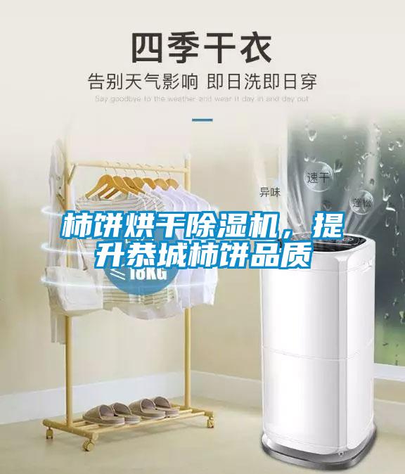 柿餅烘干除濕機，提升恭城柿餅品質